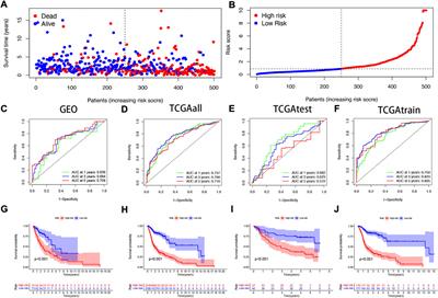 Frontiers Identification And Validation Of Neurotrophic Factor